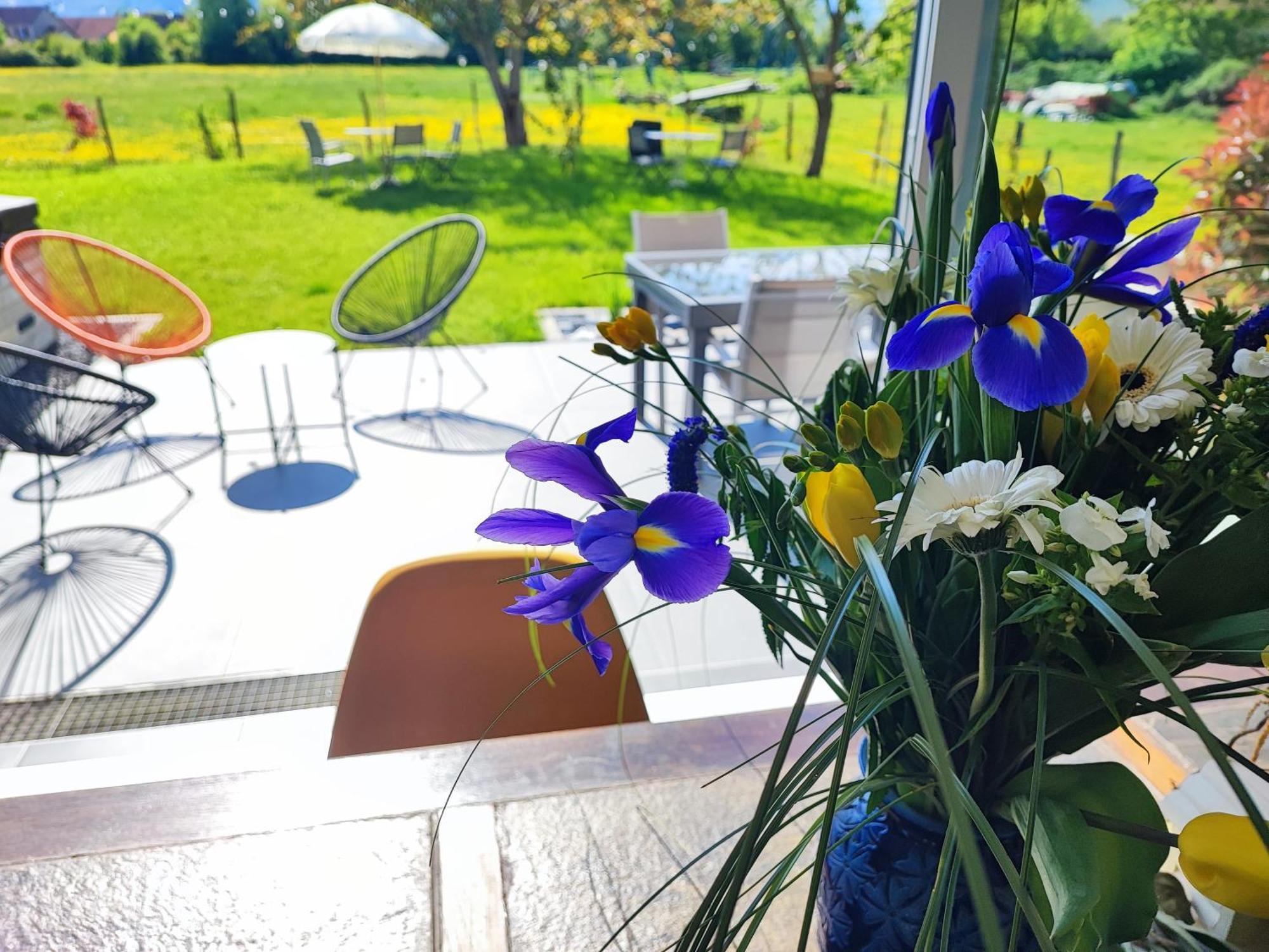 Bed and Breakfast Chez " Les Ligibell " Винтсенайм Экстерьер фото